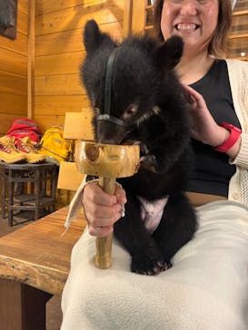 奥飛騨クマ牧場に投稿された画像（2024/8/4）