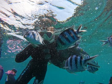 沖縄マリンサービス碧に投稿された画像（2024/8/4）