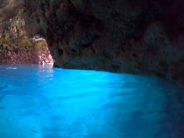 沖縄マリンサービス碧に投稿された画像（2024/8/4）