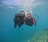 沖縄マリンサービス碧に投稿された画像（2024/8/4）