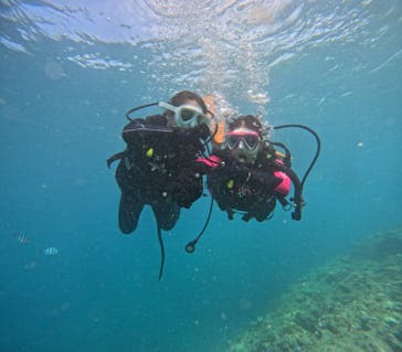 沖縄マリンサービス碧に投稿された画像（2024/8/4）