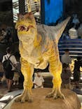 福井県立恐竜博物館に投稿された画像（2024/8/4）