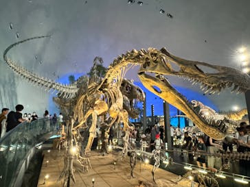 福井県立恐竜博物館に投稿された画像（2024/8/4）