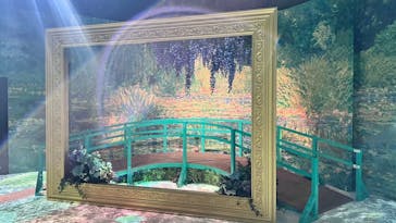 モネ＆フレンズ・アライブに投稿された画像（2024/8/4）