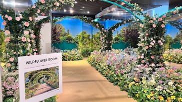 モネ＆フレンズ・アライブに投稿された画像（2024/8/4）