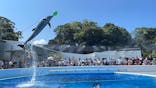 九十九島水族館海きららに投稿された画像（2024/8/4）