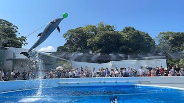 九十九島水族館海きららに投稿された画像（2024/8/4）