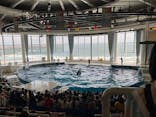 アクアワールド茨城県大洗水族館に投稿された画像（2024/8/4）