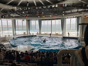 アクアワールド茨城県大洗水族館に投稿された画像（2024/8/4）