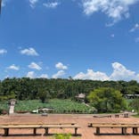 美らヤシパークオキナワ・東南植物楽園に投稿された画像（2024/8/4）