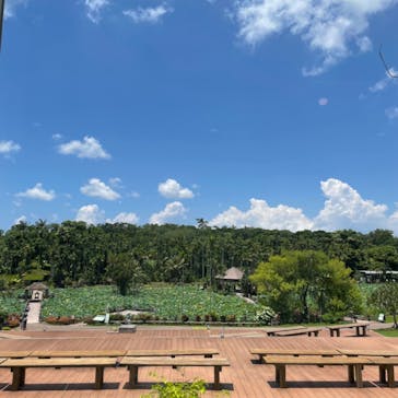 美らヤシパークオキナワ・東南植物楽園に投稿された画像（2024/8/4）