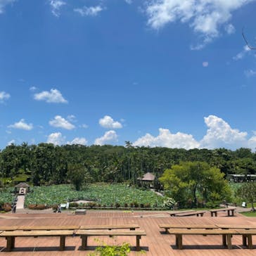 美らヤシパークオキナワ・東南植物楽園に投稿された画像（2024/8/4）