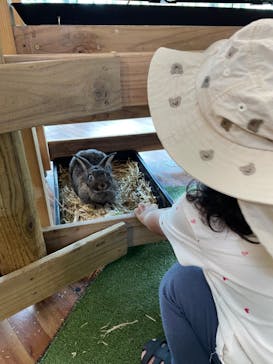 美らヤシパークオキナワ・東南植物楽園に投稿された画像（2024/8/4）