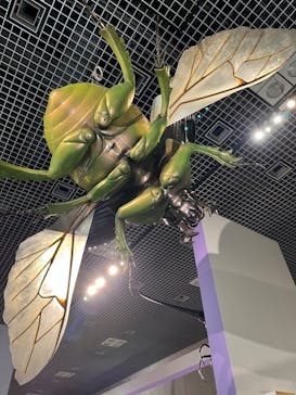 特別展「昆虫 MANIAC」（国立科学博物館）に投稿された画像（2024/8/4）