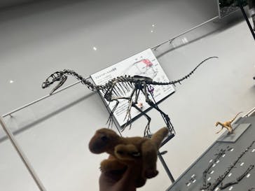 福井県立恐竜博物館に投稿された画像（2024/8/4）