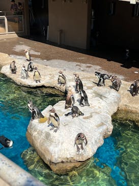 アクアワールド茨城県大洗水族館に投稿された画像（2024/8/4）