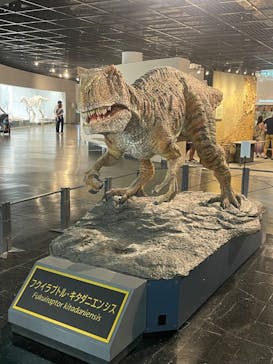 福井県立恐竜博物館に投稿された画像（2024/8/4）
