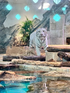 NIFREL（ニフレル）に投稿された画像（2024/8/4）