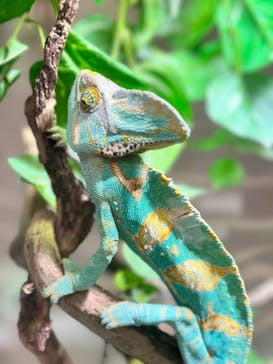 NIFREL（ニフレル）に投稿された画像（2024/8/4）