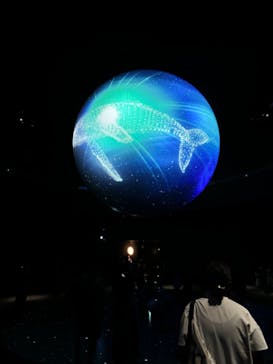 NIFREL（ニフレル）に投稿された画像（2024/8/4）