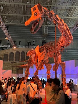 巨大恐竜展2024に投稿された画像（2024/8/4）