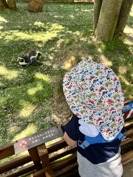 那須どうぶつ王国に投稿された画像（2024/8/4）