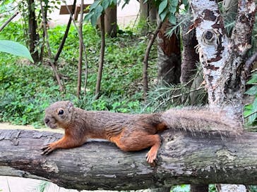 那須どうぶつ王国に投稿された画像（2024/8/4）
