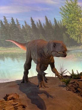 福井県立恐竜博物館に投稿された画像（2024/8/4）