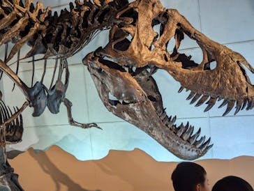巨大恐竜展2024に投稿された画像（2024/8/4）