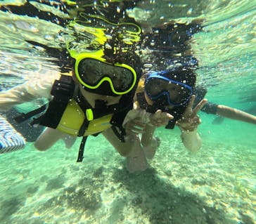 西表島 ADVENTURE PiPi（アドベンチャーピピ）に投稿された画像（2024/8/4）