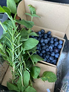 いかすオーガニック・ブルーベリー農園に投稿された画像（2024/8/4）