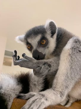 アニタッチららぽーと名古屋みなとアクルスに投稿された画像（2024/8/4）