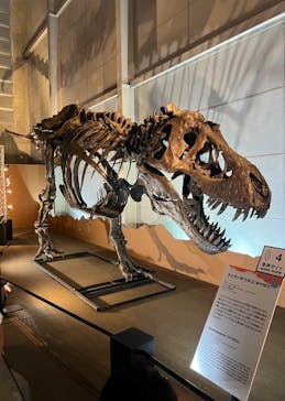 巨大恐竜展2024に投稿された画像（2024/8/2）