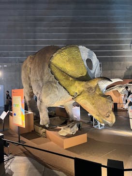 巨大恐竜展2024に投稿された画像（2024/8/2）