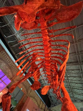 巨大恐竜展2024に投稿された画像（2024/8/2）