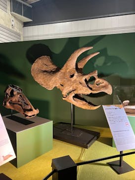 巨大恐竜展2024に投稿された画像（2024/8/2）