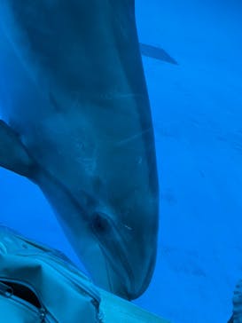 アクアワールド茨城県大洗水族館に投稿された画像（2024/8/4）