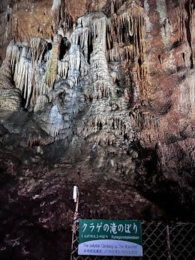 秋芳洞に投稿された画像（2024/8/4）