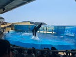 新江ノ島水族館に投稿された画像（2024/8/4）
