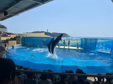 新江ノ島水族館に投稿された画像（2024/8/4）
