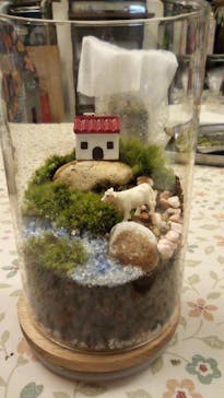 カルチャースクールいろはに投稿された画像（2024/8/4）