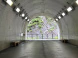 清津峡渓谷トンネルに投稿された画像（2024/8/4）