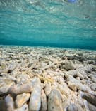 西表島 ADVENTURE PiPi（アドベンチャーピピ）に投稿された画像（2024/8/4）