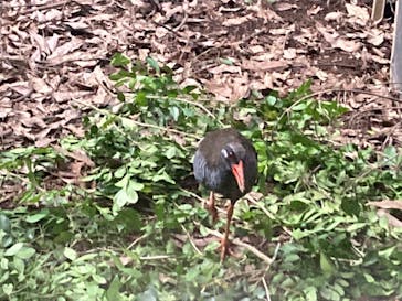 沖縄こどもの国に投稿された画像（2024/8/4）