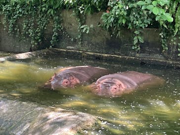 沖縄こどもの国に投稿された画像（2024/8/4）