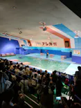 ゼロ距離水族館 伊勢シーパラダイスに投稿された画像（2024/8/4）