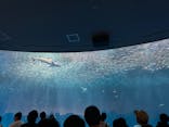 名古屋港水族館に投稿された画像（2024/8/4）