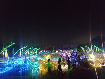 せんだい農業園芸センター　みどりの杜に投稿された画像（2024/8/4）