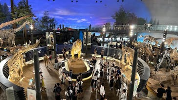 福井県立恐竜博物館に投稿された画像（2024/8/4）