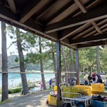 黄金崎ダイブセンターに投稿された画像（2024/8/4）